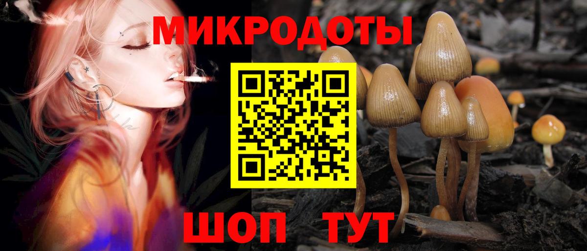 Галлюциногенные грибы ЛСД Киселёвск